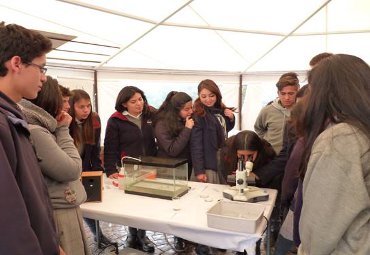 Profesor del Instituto de Biología realizó muestra interactiva en Colegio Greenland