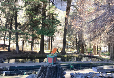 Reinauguran Piscicultura Río Blanco Federico Albert Taupp en Saladillo - Foto 3