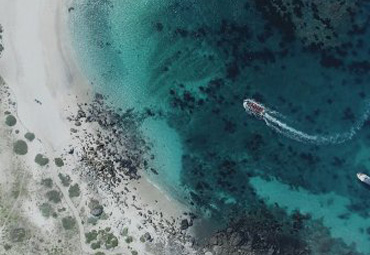 Estreno documental “"Archipiélago Humboldt, paraíso en peligro" en Cineteca PUCV