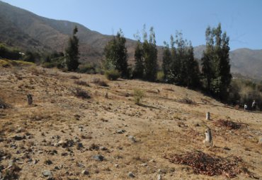 Centro Ceres: Programa desarrolla estrategia de restauración ecológica para laderas degradadas - Foto 3