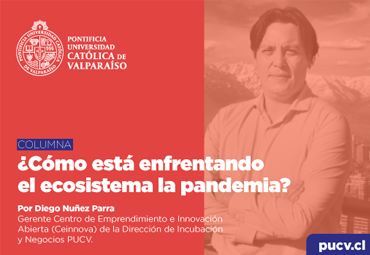 Opinión: ¿Cómo está enfrentando el ecosistema la pandemia?