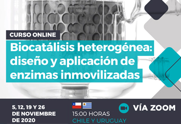 Inicio curso Online "Biocatálisis heterogénea: diseño y aplicación de enzimas inmovilizadas"