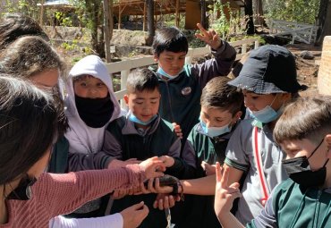 Alumnos de la Escuela Mixta de Lo Calvo realizaron visita pedagógica a la Piscicultura Río Blanco