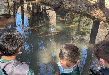 Alumnos de la Escuela Mixta de Lo Calvo realizaron visita pedagógica a la Piscicultura Río Blanco - Foto 1