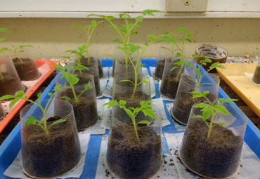 Investigación PUCV fue publicada en importante revista norteamericana - Foto 3