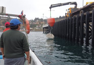 Escuela de Ciencias del Mar PUCV realizó Taller sobre Arrecifes Artificiales - Foto 1