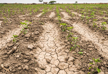 Especialistas PUCV participarán en ciclo de charlas sobre Cambio Climático
