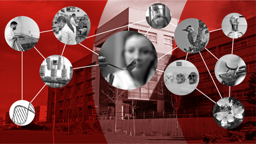 Con docentes e infraestructura de primer nivel: PUCV ofrece nuevo Magíster en Ciencias Biológicas