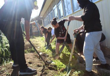 ILCL recupera huerto ecológico de la Escuela Ciudad de Berlín - Foto 2