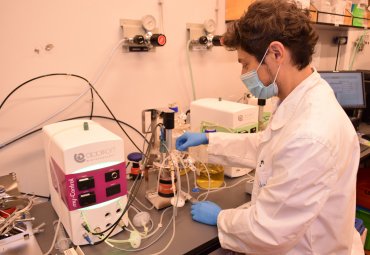 PUCV y Veterquimica desarrollarán vacuna que protege a salmones contra virus altamente contagioso - Foto 2