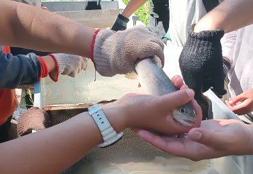 Piscicultura Río Blanco recibió más de 300 escolares durante el último trimestre del año - Foto 2