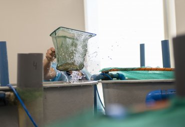 CIAS realiza su primer trabajo de apoyo a investigación de Biología PUCV - Foto 1