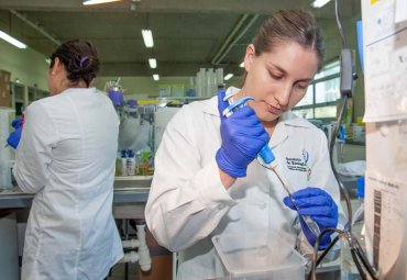 Católica de Valparaíso es quinta a nivel nacional en adjudicación Fondecyt de Iniciación 2023 - Foto 1