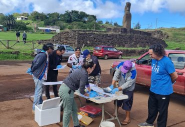 Escuela de Ciencias del Mar desarrolló curso de observación científica en Isla de Pascua