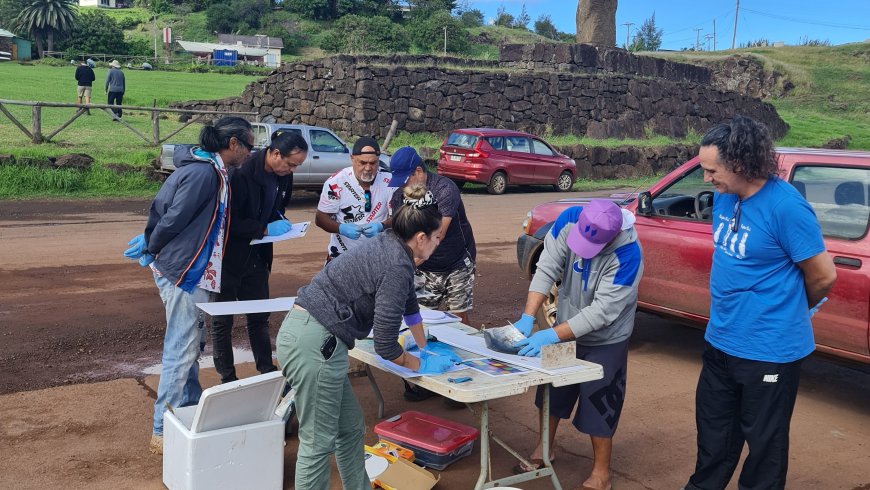 Escuela de Ciencias del Mar desarrolló curso de observación científica en Isla de Pascua
