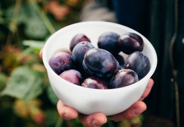 Proyecto del CREAS transforma descartes hortofrutícolas en ingredientes funcionales