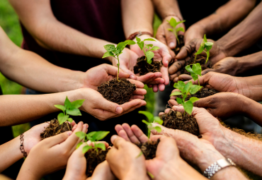 Segunda Jornada de Educación Medioambiental busca fortalecer la formación docente en la PUCV