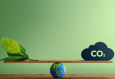 Universidad compensa huella de carbono generada en el Claustro Pleno 2025