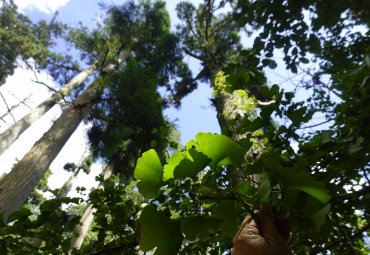 PUCV integra proyecto multinacional sobre reservas de la biósfera