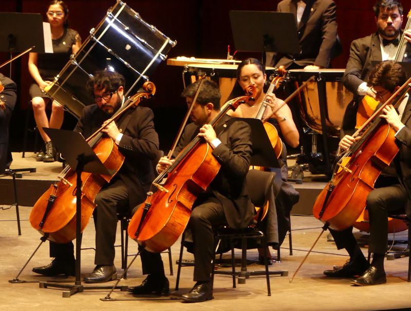VIDEO: Así vivió el público el concierto de la Orquesta de Cámara PUCV en Frutillar