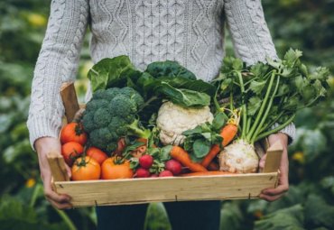 Estudio busca mejorar integración de pequeños agricultores a mercados de alimentos