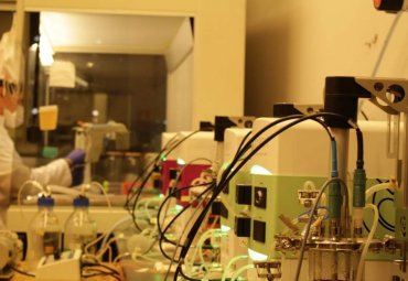 Apuestan por cultivos 3D para revolucionar terapias regenerativas