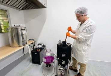 Innovating micro-winemaking workshop integrates beer and wine production in plant