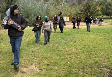 Licenciatura en Arte PUCV realizará ciclo de intervenciones artísticas en el Jardín Botánico Nacional