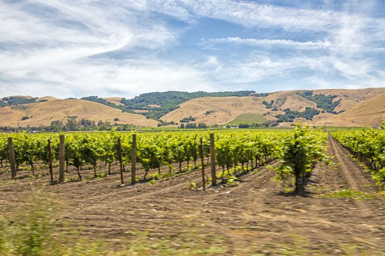 Imagen foto_00000007