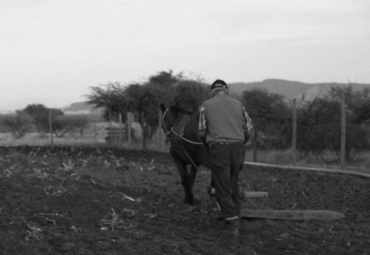 Documental: “Así no podemos hacer nada”