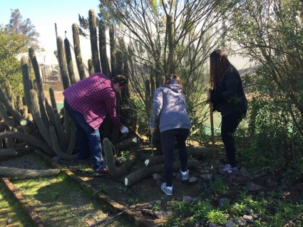 Curso de Manejo de Malezas recupera cactario de la Escuela de Agronomía