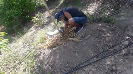 Estudiante de segundo año realiza Práctica Estival en Perú