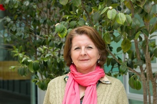 Imagen foto_00000015