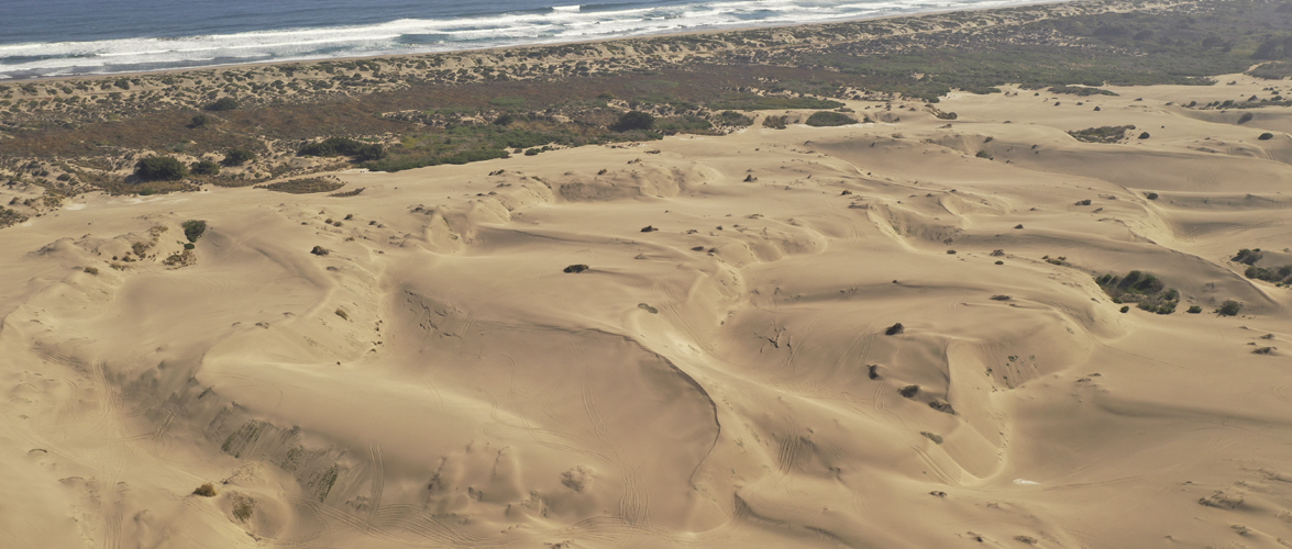 Elementos de biogeopatrimonio