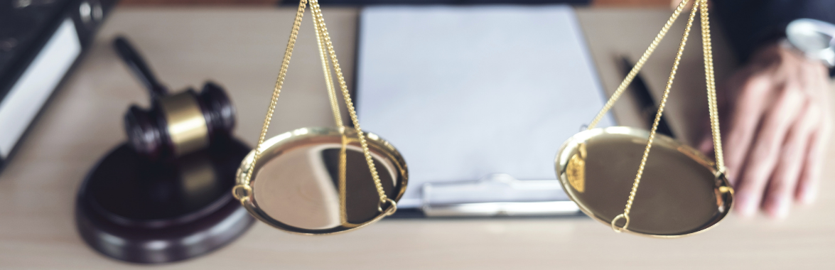 Estados de causa 2025