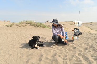 Trabajando en las dunas