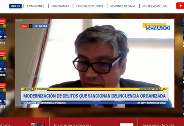 Profesor Raúl Núñez expone ante la Comisión de Seguridad Pública del Senado