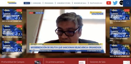 Profesor Raúl Núñez expone ante la Comisión de Seguridad Pública del Senado