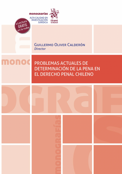 Magíster en Derecho Penal y Ciencias Penales PUCV presenta el libro "Problemas actuales de determinación de la pena en el Derecho penal chileno"