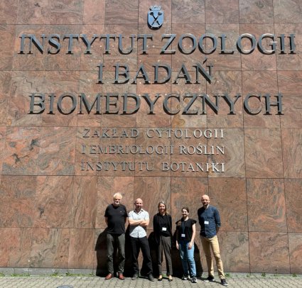 Profesor del Instituto de Química PUCV, Andrés F. Sarrazín, se vincula y colabora con la comunidad científica internacional.