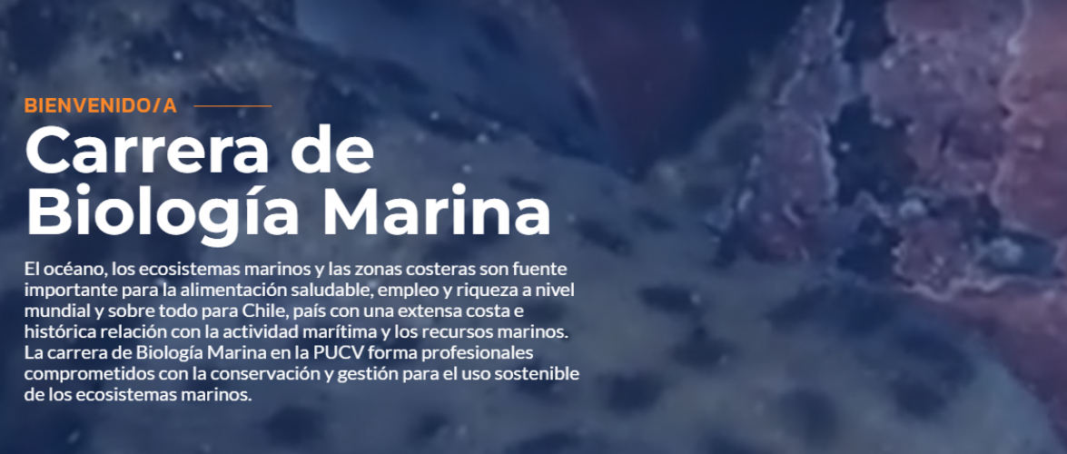 Plan Común Oceanografía / Biología marina