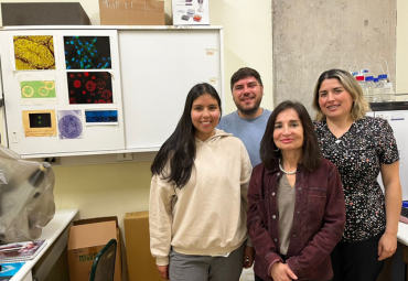 Ayen: Gel dental desarrollado en la PUCV llega al mercado de la mano de la empresa Santepharma