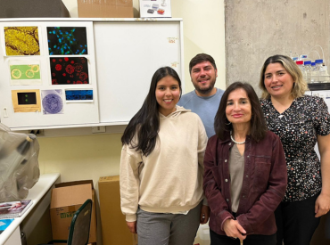 Ayen: Gel dental desarrollado en la PUCV llega al mercado de la mano de la empresa Santepharma