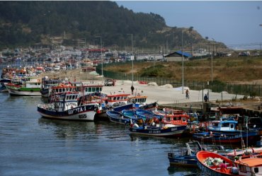 Expertos en pesquerías PUCV advierten graves errores en el proyecto de Ley de pesca