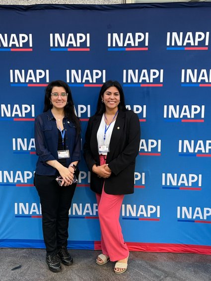 Profesionales de la Dirección de Innovación de la PUCV se capacitan en propiedad intelectual en los Cursos de Verano de INAPI