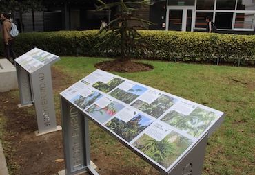 Lanzamiento del Inventario de Biodiversidad en el Campus Sausalito