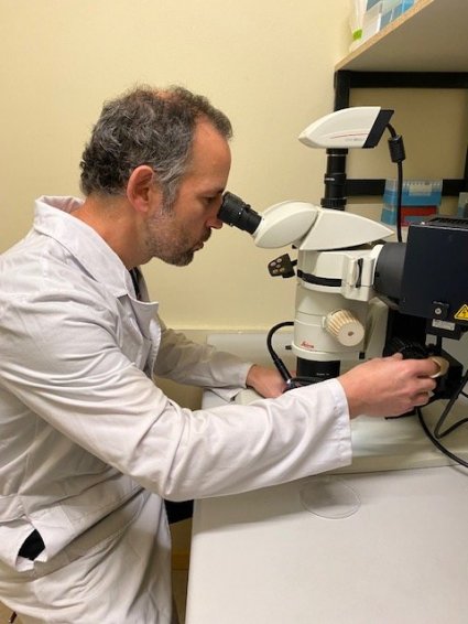 Desarrollo de los organismos exitosos sería la clave para entender la evolución