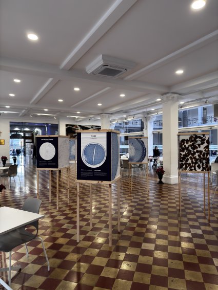 Egresados del Magíster en Ciencias Biológicas realizaron exposición de arte botánico de plantas endémicas de Valparaíso