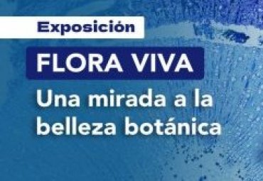 Egresados del Magíster en Ciencias Biológicas realizaron exposición de arte botánico de plantas endémicas de Valparaíso