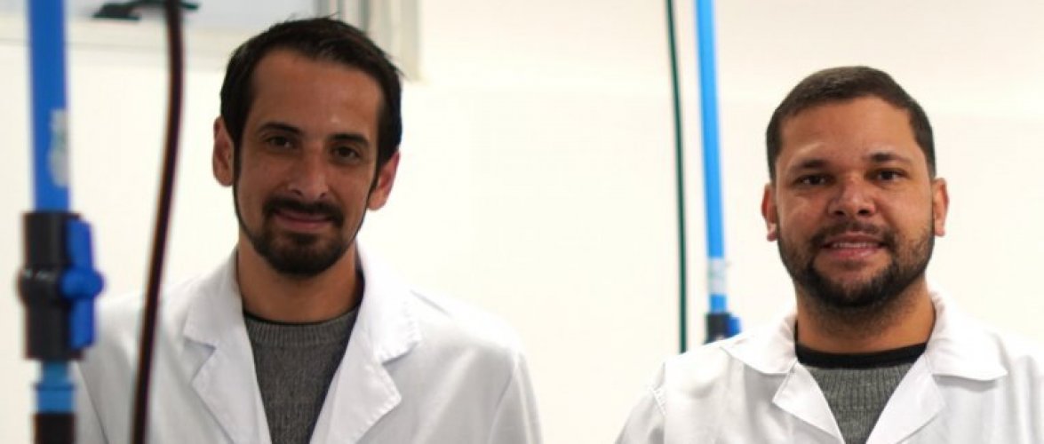 PUCV impulsa la acuicultura sustentable con nuevo proyecto sobre reproducción y larvicultura de lisa